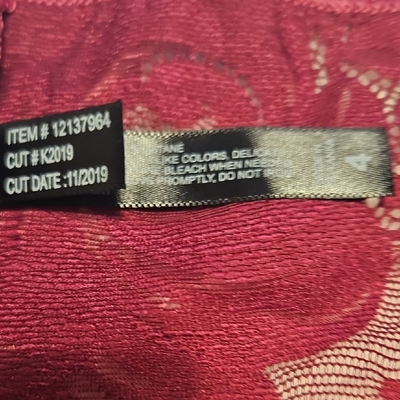 Elegant TORRID Curve Lace Women's Panties in Rich Burgundy - Picture 6 of 9